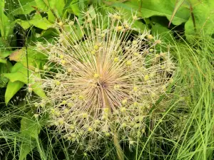 Allet 07 Tuin van het Singer Museum